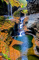 Watkins Glen, NY